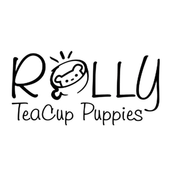 ROLLY TEACUP PUPPIES
